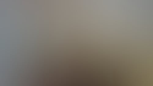 F25A43Da7A2Aab1255D651E4De16Ee15