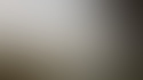 F03540782654717Bb6A72866892B0775