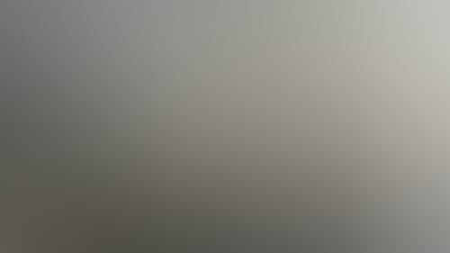 B9545Cbc57A1D3F032Eefc24Faec7E66