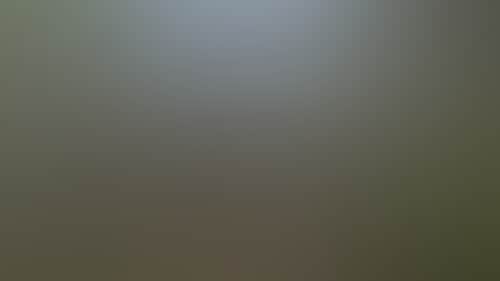 Bce31Eba2C603788Fb55158F051Cb9E8