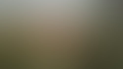Cc78F8Dc5D722A0E1F0B533944D470D0