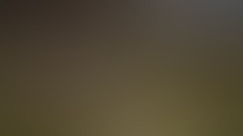 Ee2022639E8662B20B62603985550D72