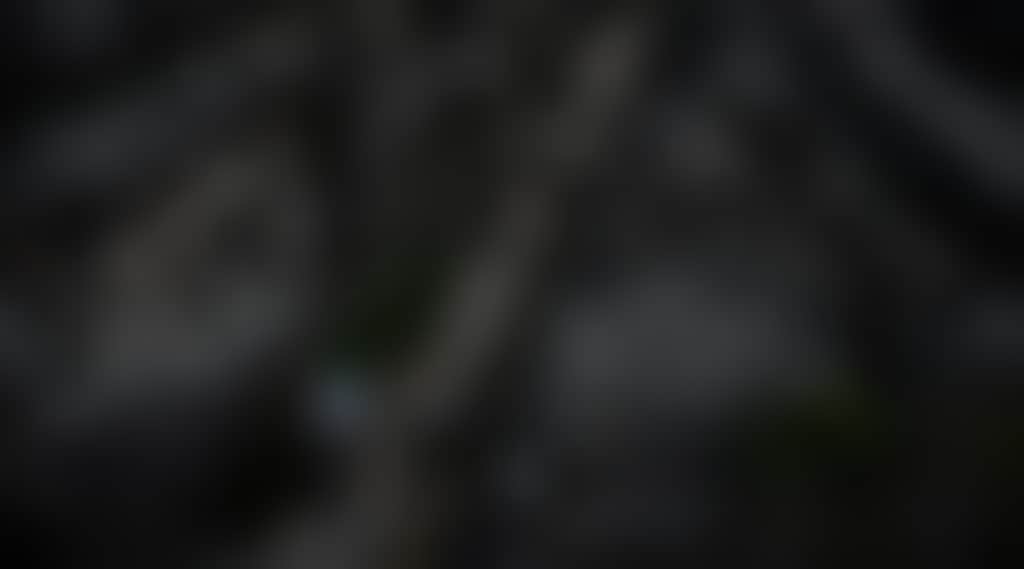 0Dd7Fb3F0979Aa505Dae879Bef677C44