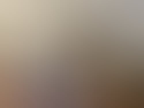 828Fb7496Ca41507E264C2C972B6Ac9C