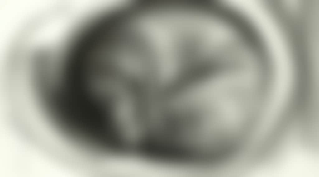 3A5C34C77C620042F8E5072367A542Df
