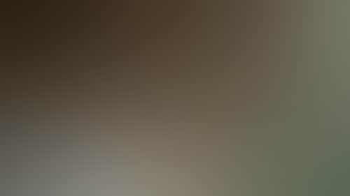 Ba6B3Fa183Eb7A5283Cb716Ae217E461