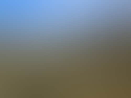 D5Eee80Deb11C301698576F44122A752