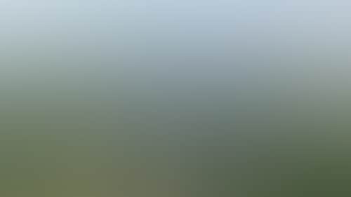 1E9651E2Db35B0F09Ff6B4401Aec2Ec9