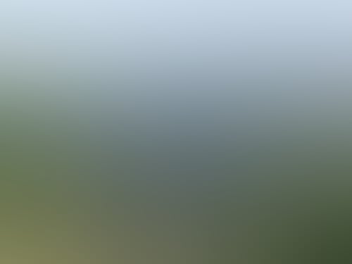 1E9651E2Db35B0F09Ff6B4401Aec2Ec9