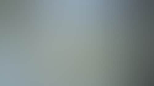 965C8A486Af5Dc427D0Ee8E6C1117E07