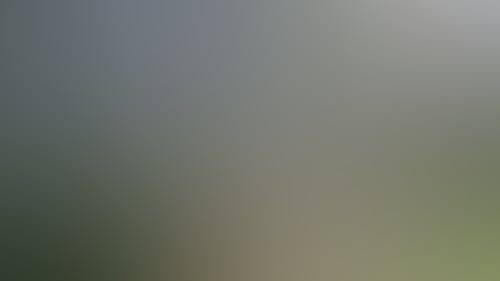 5D611A9F03F544F4951F3Abd13B5C984