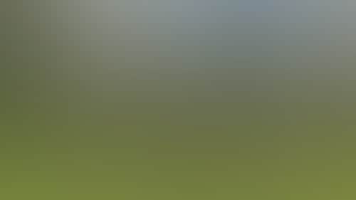 D392C5Ae82F060Ae8271E751C04601E3