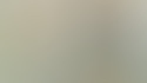 554B2B7C93D61E3D552E078130225088
