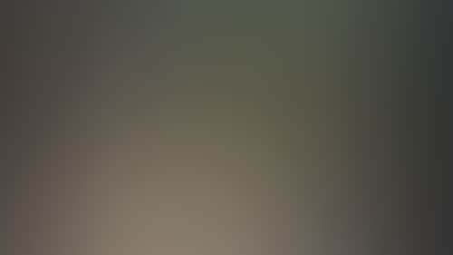 2F0F708767B5Ce37A22504B961273467