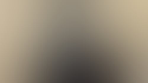 Ff2182Ef0A484Ed12677221Df255633F