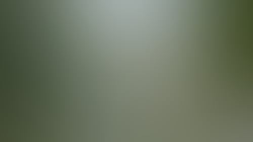 Ae33439Afc482A845A10B5Af91Ce07Cd