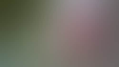 80C4Eabef493Fd35Fd077036B60D979F