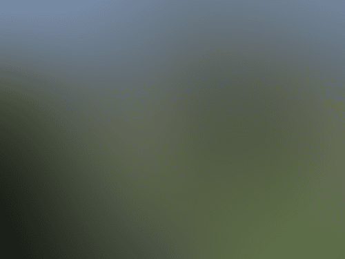 Royal Mail Hotel Wedding