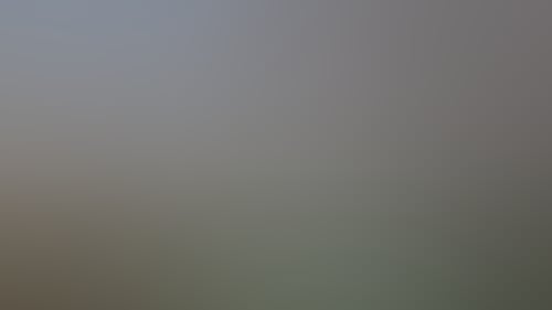 2B5545437F3B0A5B2E2Ca790Dd705683
