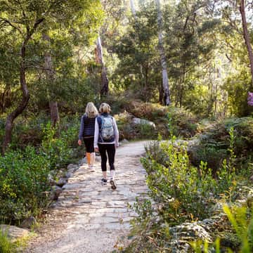 thegrampians