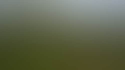 51Dd63Ab43874808158F4D9C5F1Ab4A2