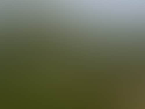 51Dd63Ab43874808158F4D9C5F1Ab4A2