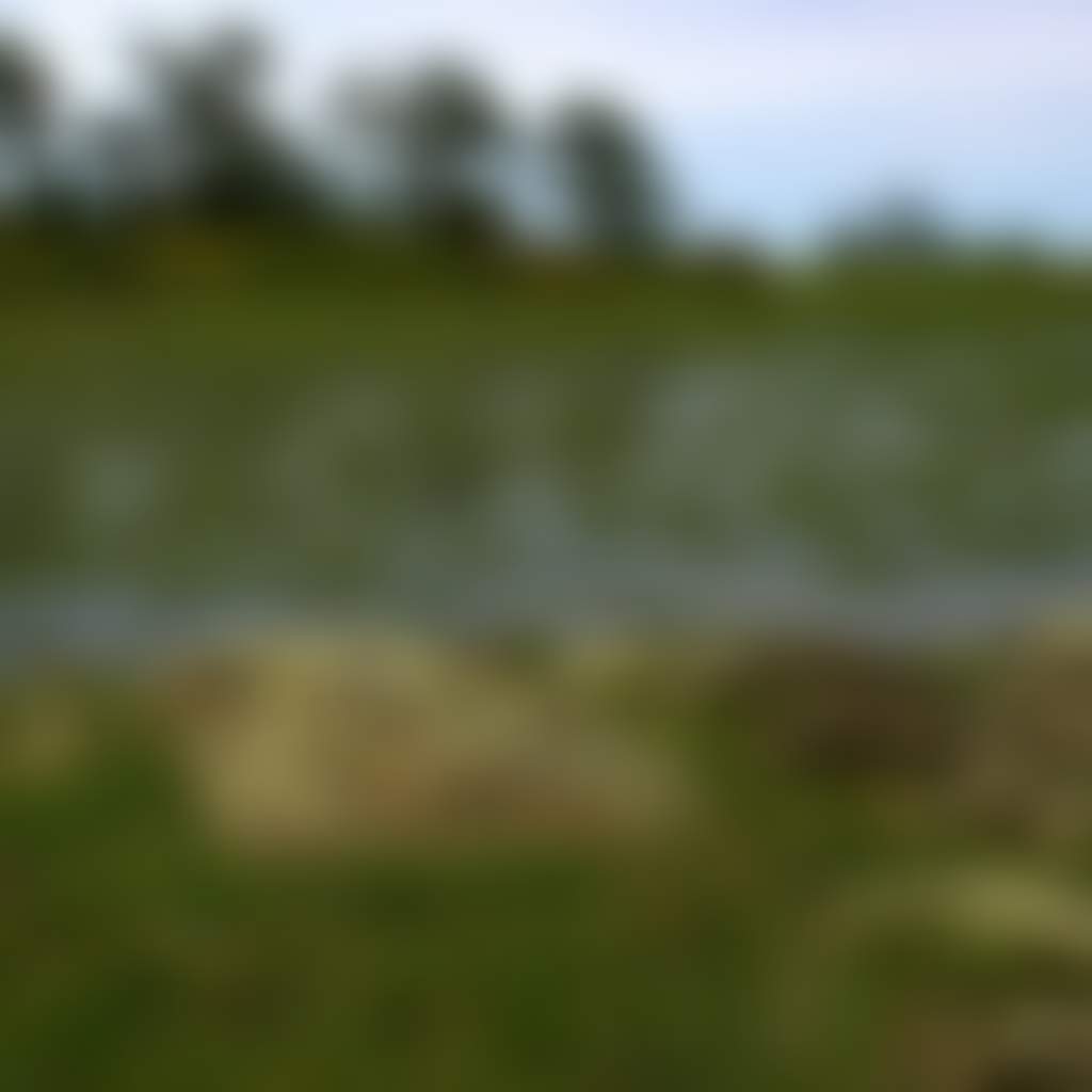 51Dd63Ab43874808158F4D9C5F1Ab4A2