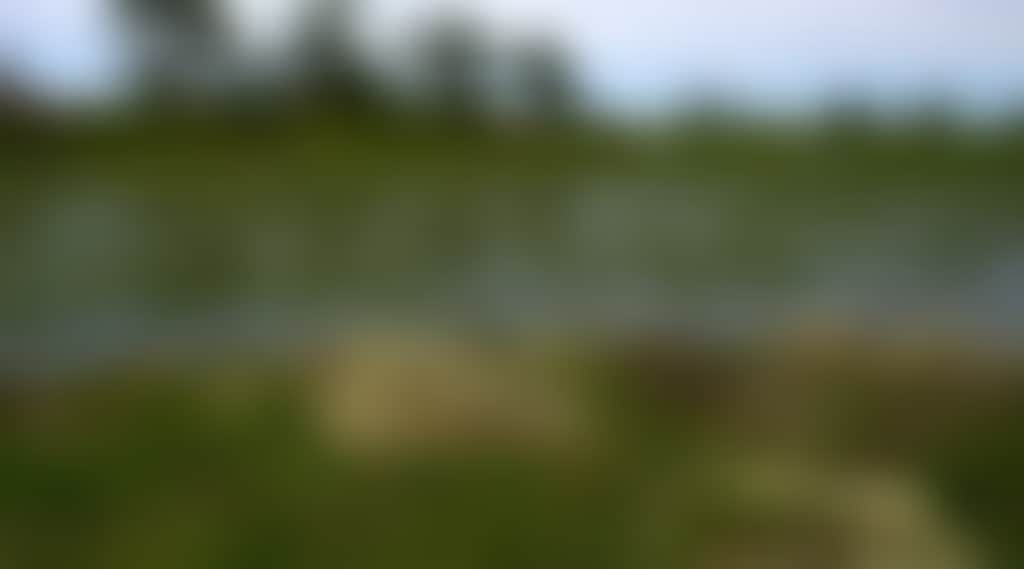 51Dd63Ab43874808158F4D9C5F1Ab4A2