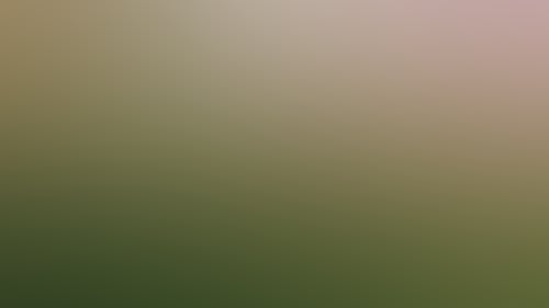 2768D5D404575C339F1F83E1A76A0A89
