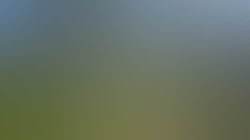 49D36C96271Af55B897E6C5Ff364A90E