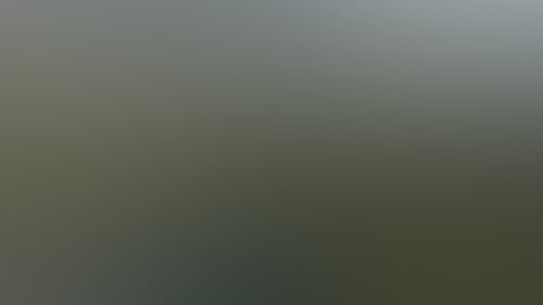 D1330C66C65Df65F58E7C851909A680D