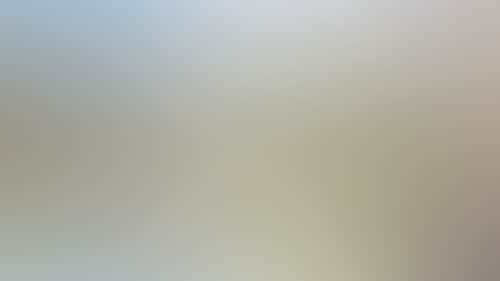 E5C991Ba42F0070772F54C16D11C7148