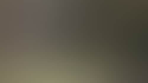 6043Fadbc6F760B267Cbc667301C304C