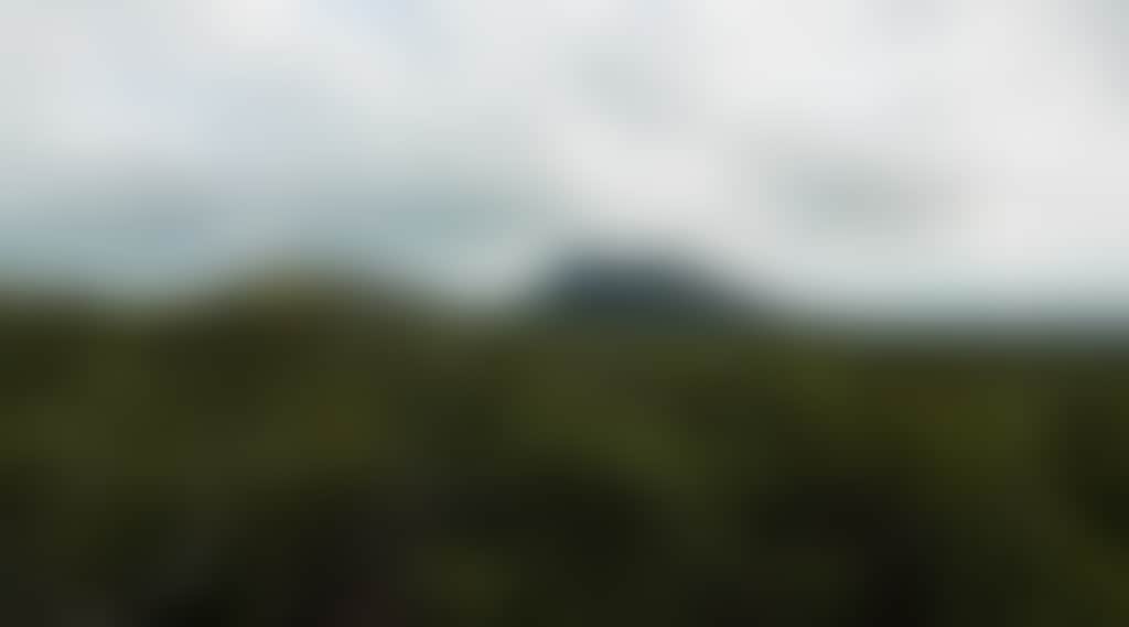 C538C9B5B5039Ea50D98B898Ce469D17