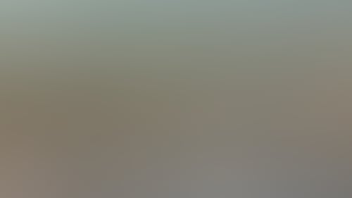 6F7F81Fc125186Abcef2C1E5Bf3C2781