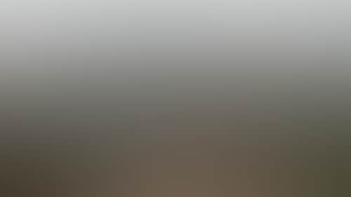 7A99C201Bff2B27Eb5Dbc7B434454A1C