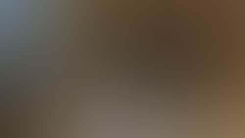 00D5Fe3A9A9E9B0E04466Ad65Edf99E8