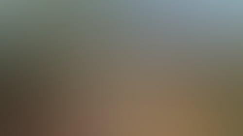 6D3Ca37E0Ed53F8403A631461A803026