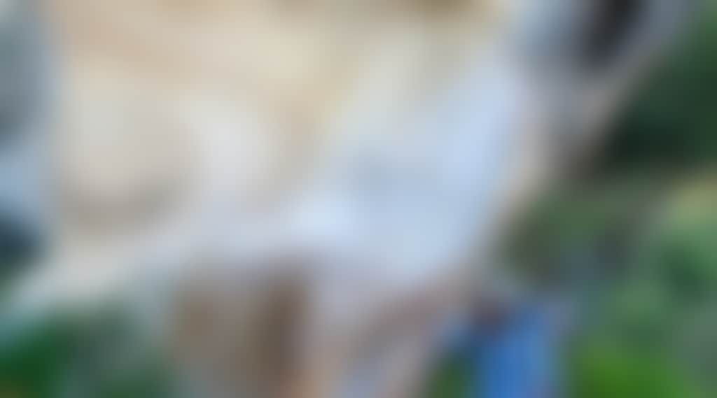 E699D00Be3033Bc0B3F75160D1A8071A