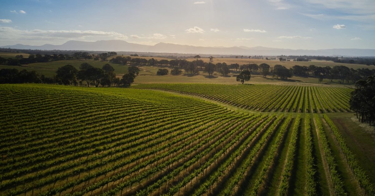 Grampians Wine Region | Visit Grampians